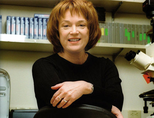 短信轰在线轰炸免费