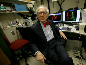 短信轰在线轰炸免费